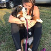Mandie Lee's photo