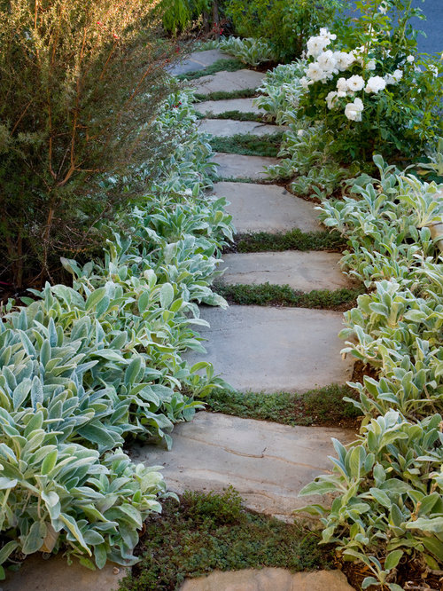 Thyme Between Flagstone Houzz