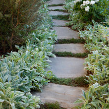 Pathway