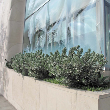 Concrete planter boxes