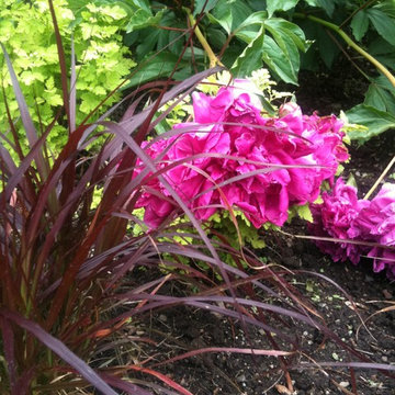 Vivid color