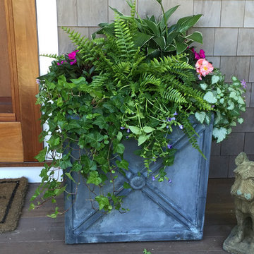 Window Boxes / Containers