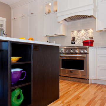 Contemporary Kitchen & Main Floor Renovation