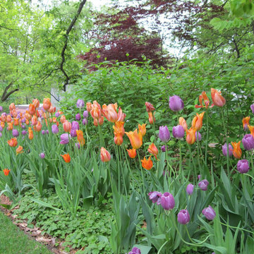 Contemporary Woodland Residential Garden
