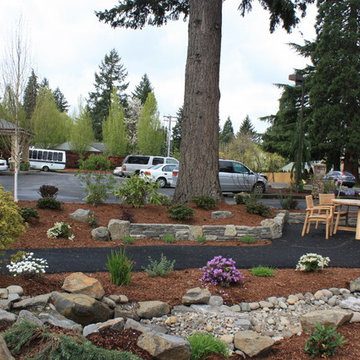Sensory Garden