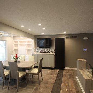 Lake View Modern