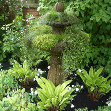 Plantings