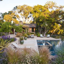 Pool/yard
