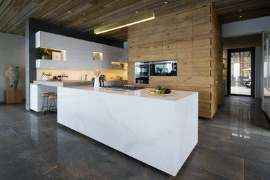 Inspiration for a contemporary kitchen remodel in Other