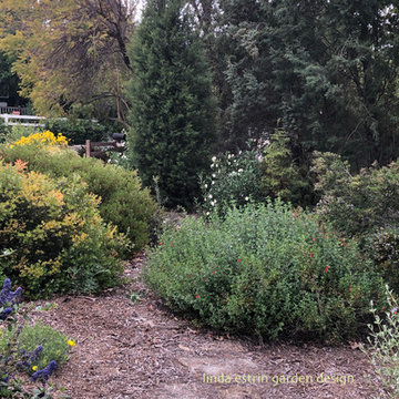California native garden
