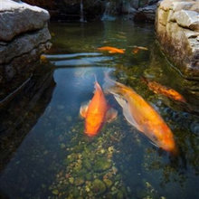 water features