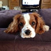Tom Knill's photo