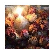 Pat Cooper's photo