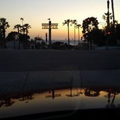 Steven Drexlerさんの写真