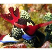 Mary Ann Jenkins's photo