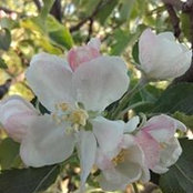 Инна Красноусова's photo