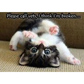 Wanda Terry-Olsen's photo