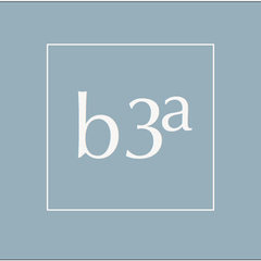 b3a