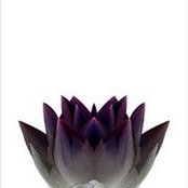 Neel Ply's photo