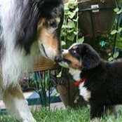 Cheryl Rakich's photo