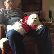 Marianne Seibel's photo