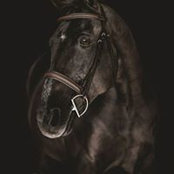 Freddie Widmer's photo