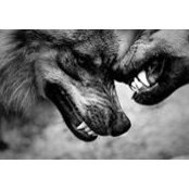 Keith Green's photo