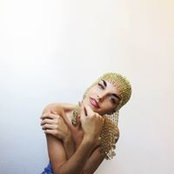 Alayne Macchiaverna's photo
