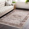 Ephesians Updated Traditional Dark Brown, Pale Pink Area Rug, 9'x12'10"