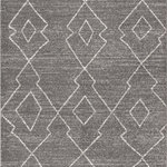 JONATHAN Y - Alia Moroccan Beni Souk Area Rug, Gray/Cream, 5 X 8 - Inspired by vintage Beni Ourain Moroccan rugs, our modern version is power-loomed with a short pile. Diamonds and geometric forms are woven in ivory against a field of gray; tassel fringes at each end are braided in traditional style. Add some Bohemian style to your home with this easy-care rug.