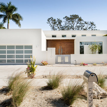 Modern Elevation Daytime