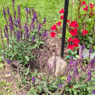 A Woodland Retreat and Edible Garden