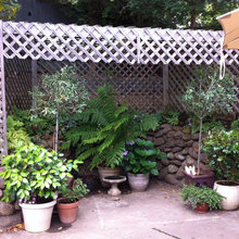 My Greenhouse Project - Before