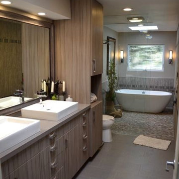 Master Bath remodel