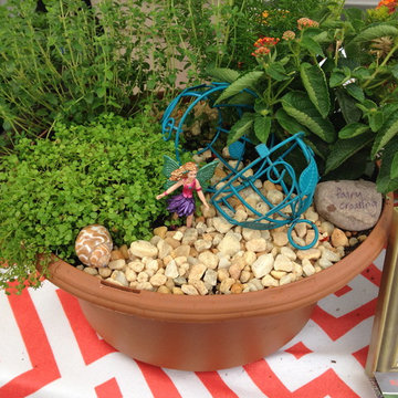 Fairy Gardens, Terrariums & Succulents