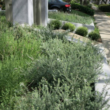 Landscape Ideas