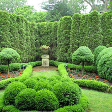 Parterre