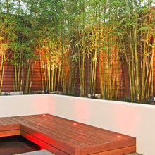 Landscape Ideas