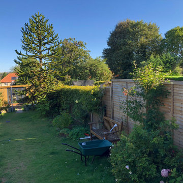 Family garden before photo