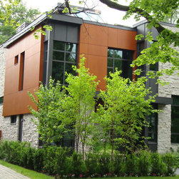 Contemporary Home - Windows