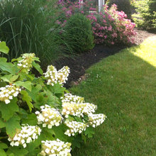 Landscape Ideas