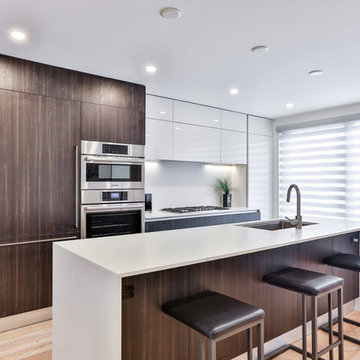 Mount Pleasant Road Renovation, Toronto