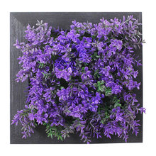 Living Wall Plants