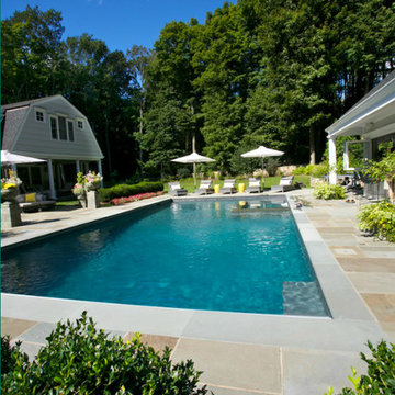 Ponds & Swimming Pools