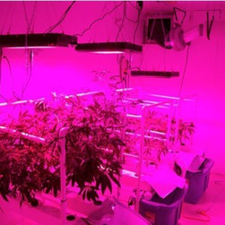 LED Aquarium Light - Products