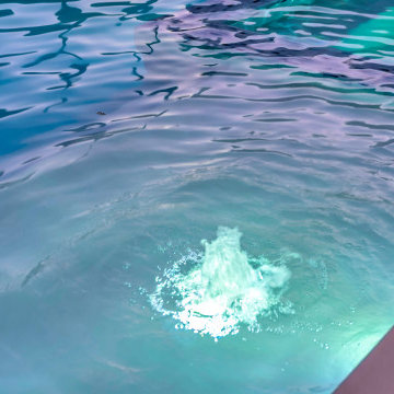 Porter Ranch Custom Pool Build