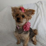 Jenna Wicks's photo