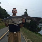 Stephen Davis's photo