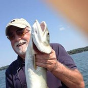Ken Bergman's photo