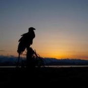 Lily Assllen's photo